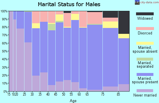 Zip code 15537 marital status for males