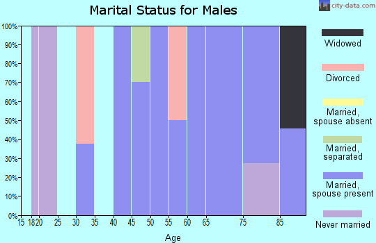 Zip code 15540 marital status for males