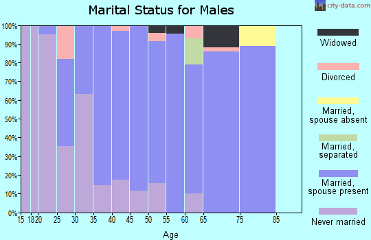 Zip code 15541 marital status for males