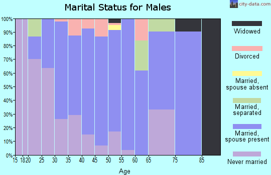 Zip code 15542 marital status for males