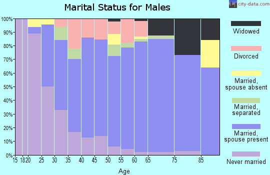Zip code 15545 marital status for males