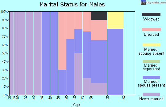 Zip code 15547 marital status for males