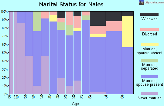 Zip code 15550 marital status for males
