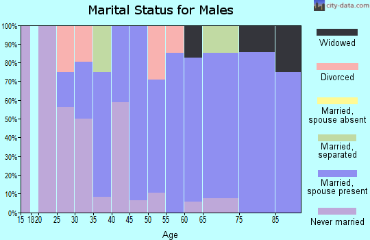Zip code 15551 marital status for males