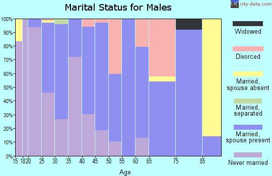Zip code 15554 marital status for males