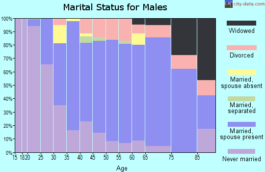 Zip code 15557 marital status for males