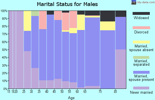 Zip code 15559 marital status for males
