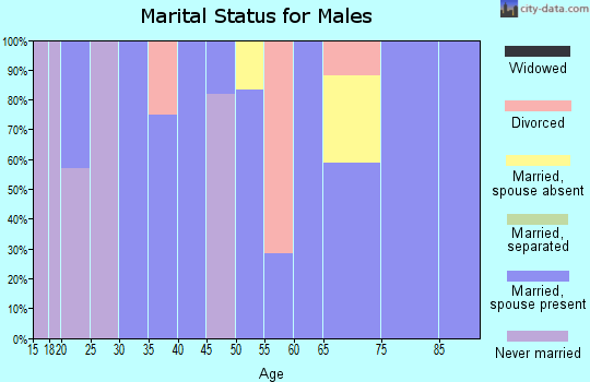 Zip code 15560 marital status for males