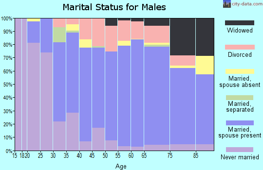 Zip code 15613 marital status for males