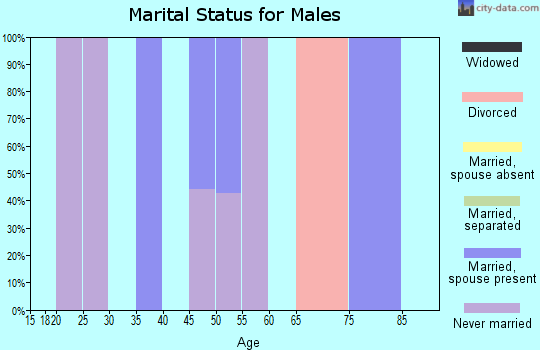 Zip code 15624 marital status for males