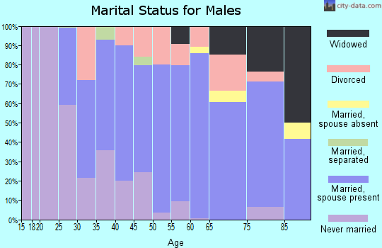 Zip code 15627 marital status for males