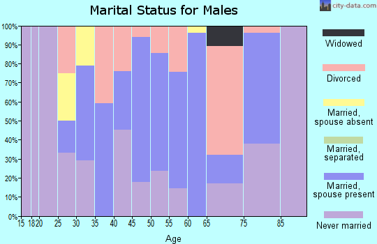 Zip code 15631 marital status for males