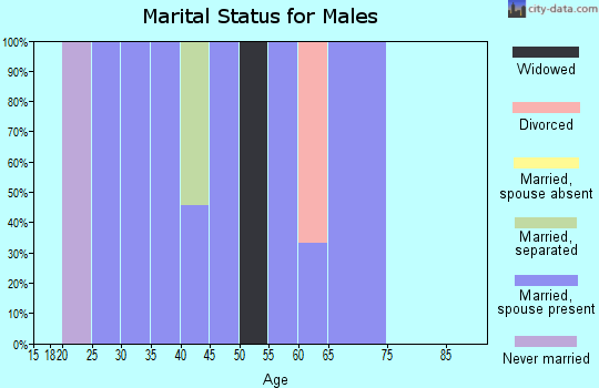 Zip code 15634 marital status for males