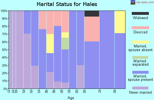 Zip code 15637 marital status for males