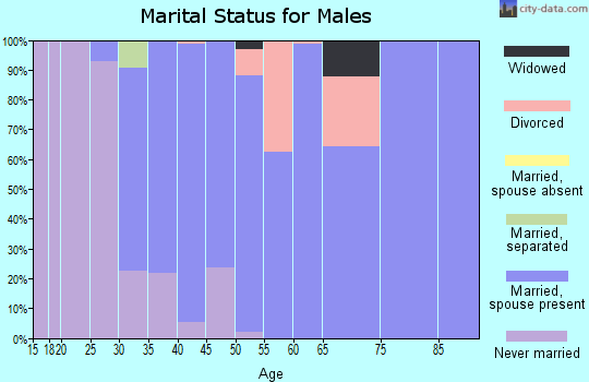 Zip code 15639 marital status for males