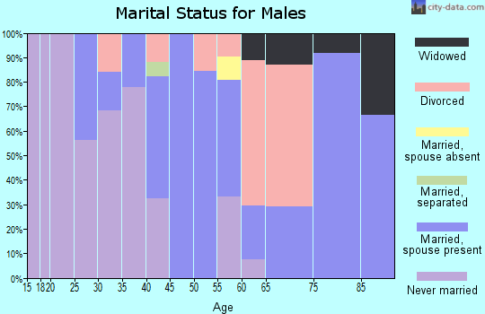 Zip code 15641 marital status for males
