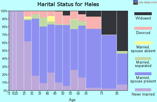 Zip code 15656 marital status for males