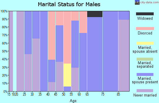 Zip code 15663 marital status for males