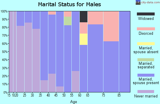 Zip code 15665 marital status for males