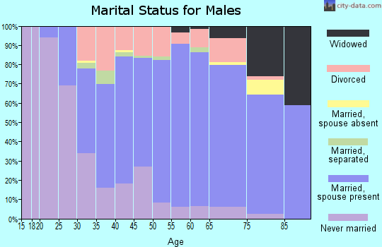 Zip code 15666 marital status for males