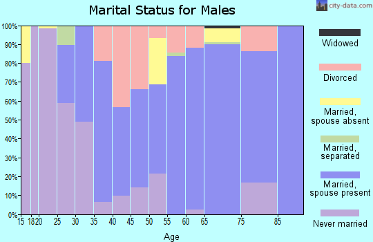 Zip code 15670 marital status for males
