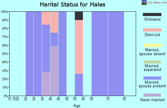 Zip code 15671 marital status for males