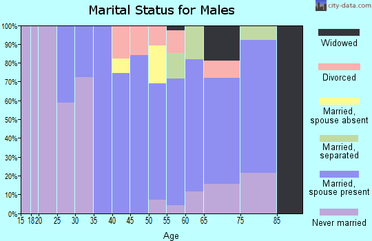 Zip code 15673 marital status for males