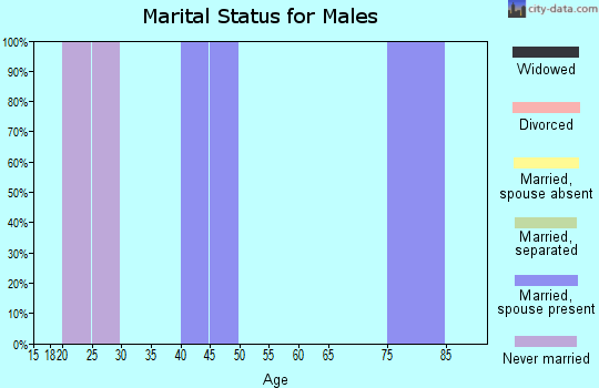 Zip code 15678 marital status for males