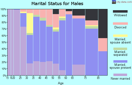 Zip code 15681 marital status for males