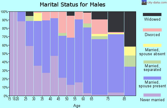 Zip code 15690 marital status for males