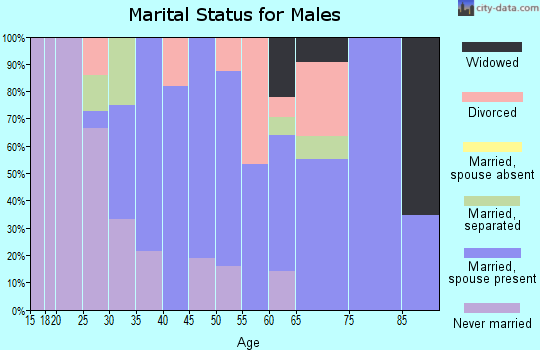 Zip code 15697 marital status for males
