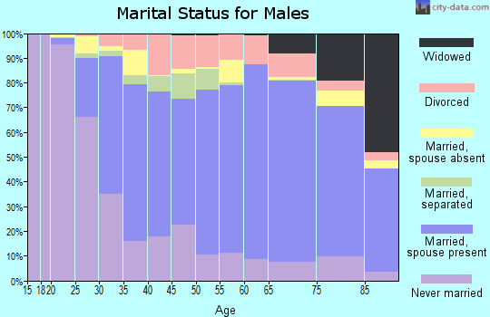 Zip code 15701 marital status for males