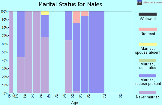 Zip code 15710 marital status for males