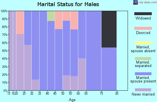 Zip code 15715 marital status for males