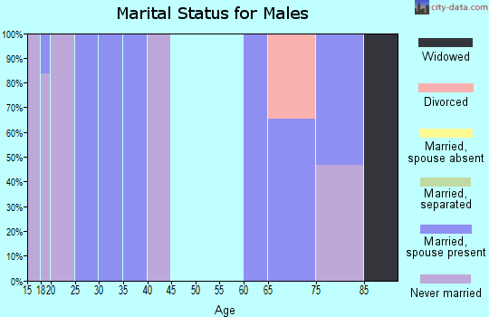 Zip code 15716 marital status for males