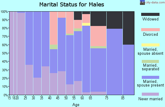 Zip code 15728 marital status for males