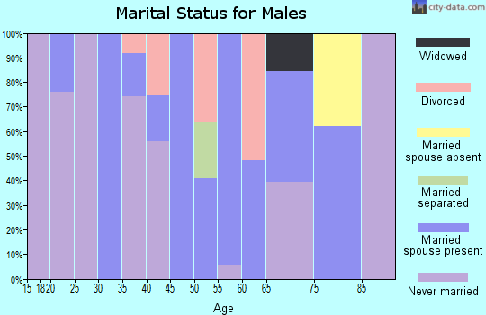 Zip code 15729 marital status for males