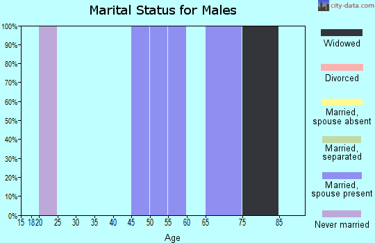 Zip code 15730 marital status for males