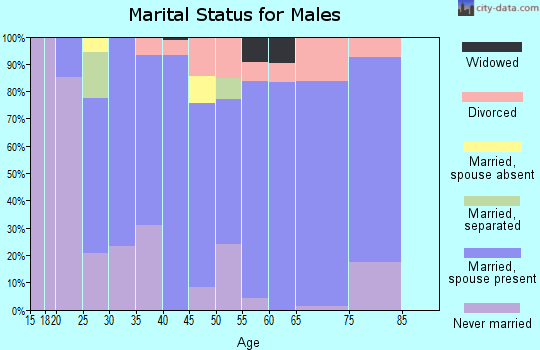 Zip code 15732 marital status for males