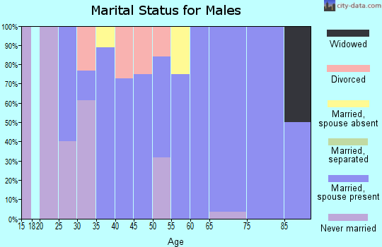 Zip code 15736 marital status for males