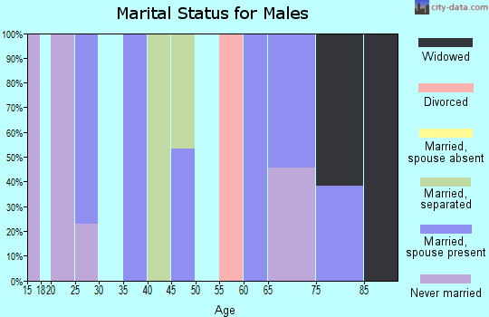 Zip code 15745 marital status for males