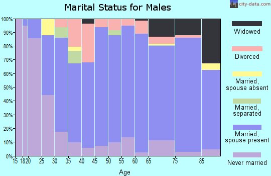 Zip code 15748 marital status for males