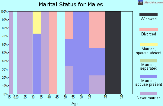 Zip code 15756 marital status for males