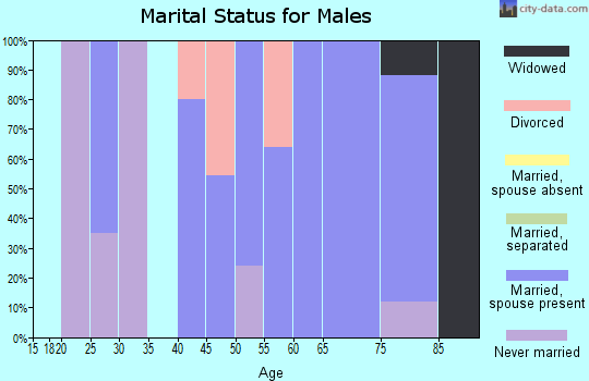 Zip code 15775 marital status for males