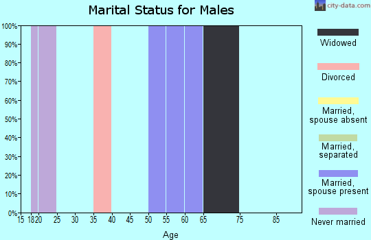 Zip code 15776 marital status for males