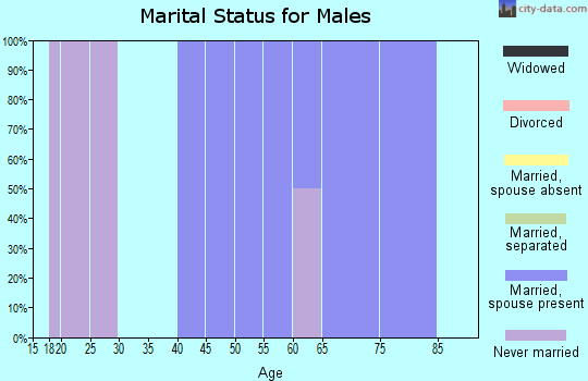 Zip code 15784 marital status for males