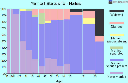 Zip code 15824 marital status for males