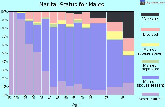 Zip code 15825 marital status for males