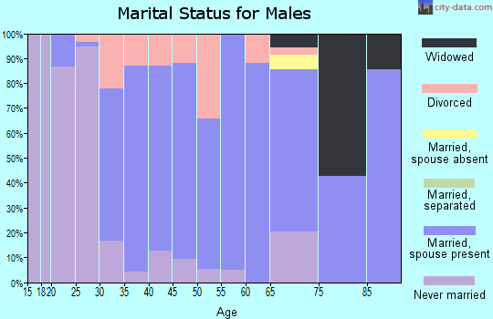 Zip code 15829 marital status for males
