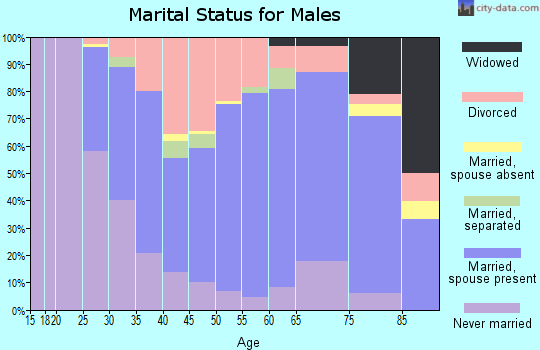 Zip code 15834 marital status for males